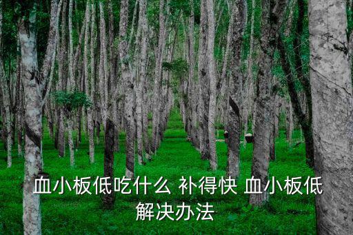  血小板低吃什么 補得快 血小板低解決辦法