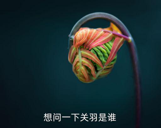 關(guān)公是誰(shuí),關(guān)羽被尊為武財(cái)神華人地區(qū)信仰相當(dāng)流行