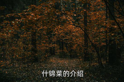  什錦菜的介紹