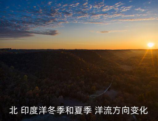 北 印度洋冬季和夏季 洋流方向變化