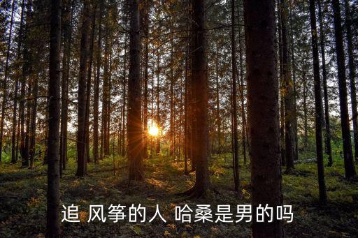 追風(fēng)箏的人哈桑,阿里哈桑的兒子是哈扎拉人
