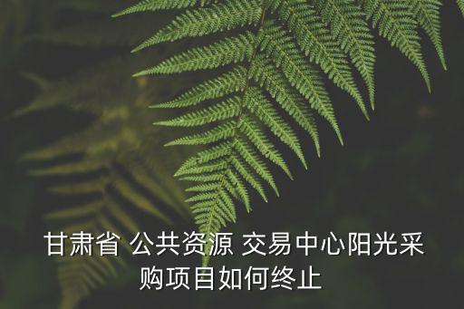 甘肅省公共資源交易局,甘肅政府采購網(wǎng)由財政部國庫司主辦