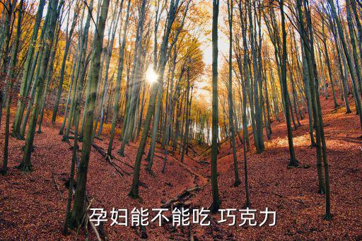 孕婦能不能吃巧克力,孕中期能吃巧克力嗎?