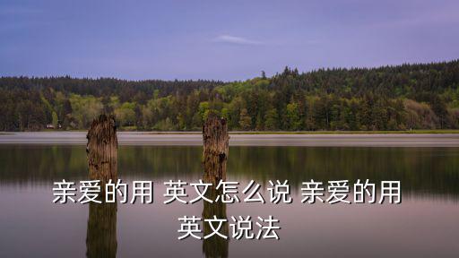  親愛的用 英文怎么說 親愛的用 英文說法