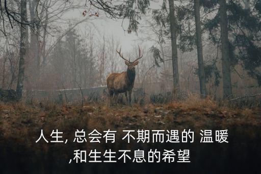 人生總會有不期而遇的溫暖
