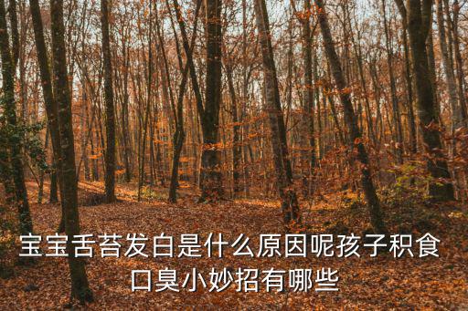 寶寶舌苔發白是什么原因呢孩子積食 口臭小妙招有哪些