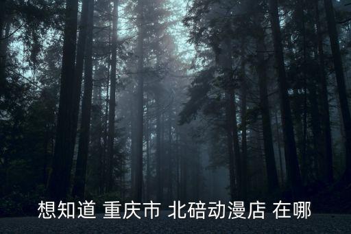 重慶市北碚娃娃機在哪，抓娃娃機在哪里
