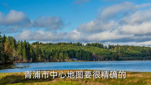 青浦市中心地圖要很精確的