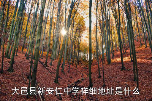 大邑縣新安仁中學祥細地址是什么