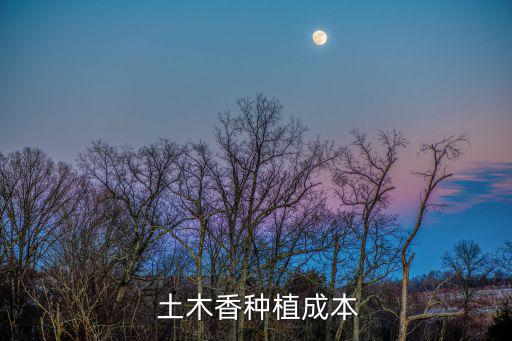  土木香種植成本