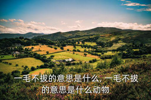 一毛不拔的意思,一毛不拔留下多少根頭發?
