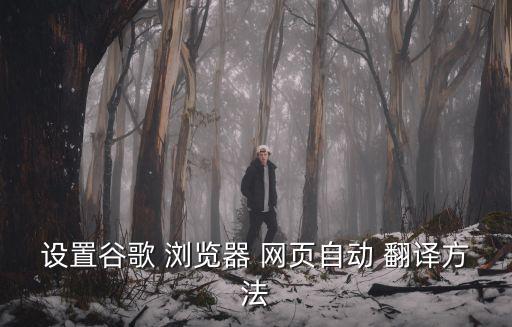 設置谷歌 瀏覽器 網頁自動 翻譯方法