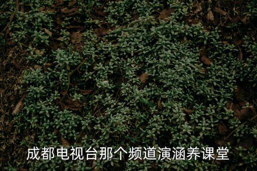 成都電視臺那個(gè)頻道演涵養(yǎng)課堂