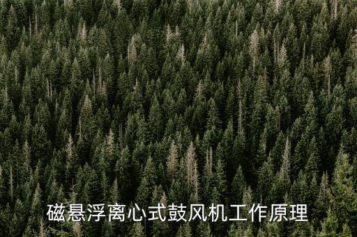 磁懸浮離心式鼓風機工作原理