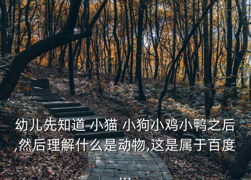 小貓小狗圖片,從感性到理性孩子可以理解小貓小狗的叫法