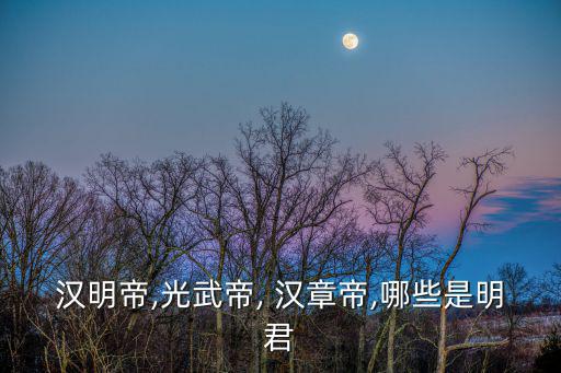 漢章帝,沒有關心過親生母親沒有頒發獎章漢章帝封魏王為諸侯