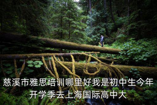 慈溪市雅思培訓(xùn)哪里好我是初中生今年開(kāi)學(xué)季去上海國(guó)際高中大