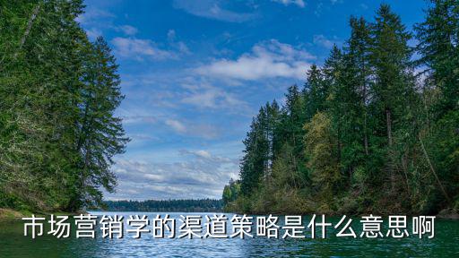 市場營銷學的渠道策略是什么意思啊