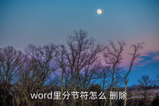 word里分節(jié)符怎么 刪除