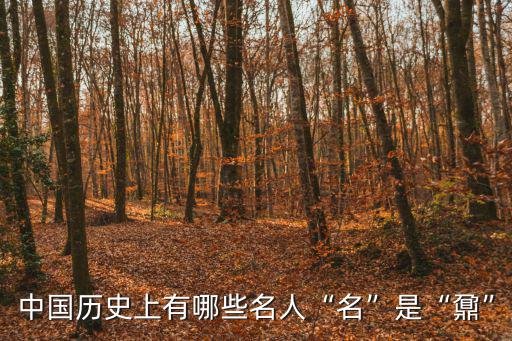 中國歷史上有哪些名人“名”是“鼐”
