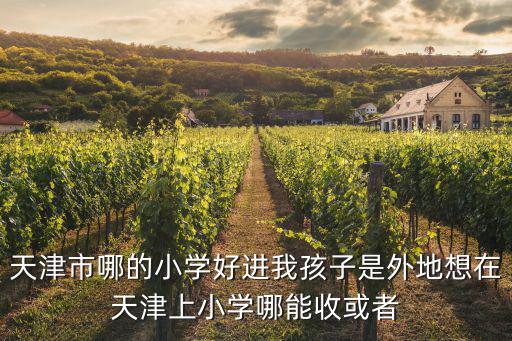 天津市哪的小學好進我孩子是外地想在天津上小學哪能收或者