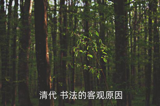  清代 書(shū)法的客觀原因