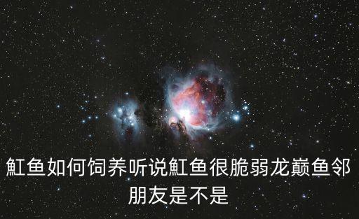 魟魚,怎么養(yǎng)黃貂魚?先別急著收養(yǎng)!