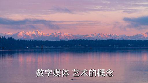  數(shù)字媒體 藝術(shù)的概念