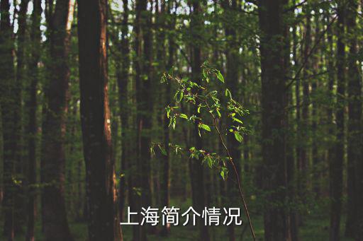 上海簡(jiǎn)介情況