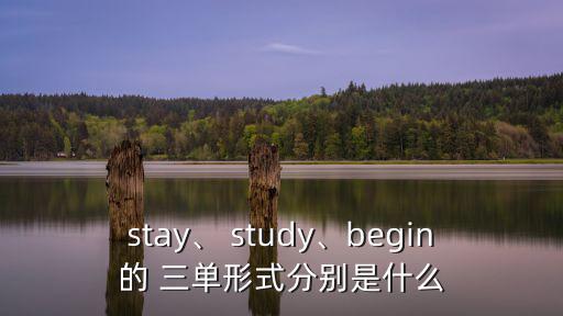 stay、 study、begin的 三單形式分別是什么