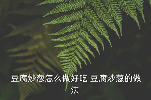  豆腐炒蔥怎么做好吃 豆腐炒蔥的做法