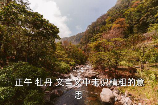  正午 牡丹 文言文中未識精粗的意思