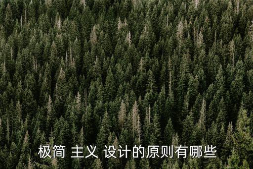 極簡 主義 設計的原則有哪些
