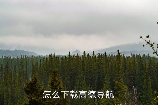 怎么下載高德導航