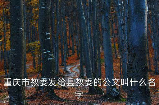 重慶市教育督導(dǎo)條例內(nèi)容，重慶市教委發(fā)給縣教委的公文叫什么名字