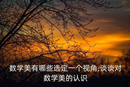  數學美有哪些選定一個視角,談談對 數學美的認識