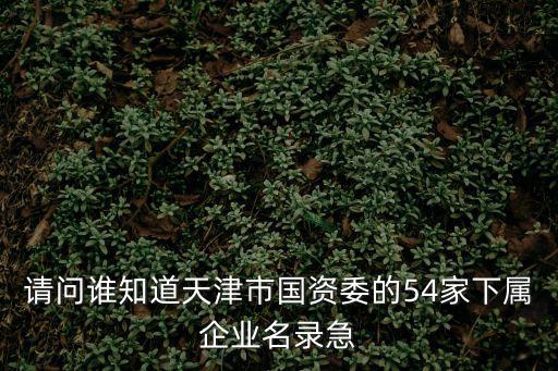 請(qǐng)問誰(shuí)知道天津市國(guó)資委的54家下屬企業(yè)名錄急