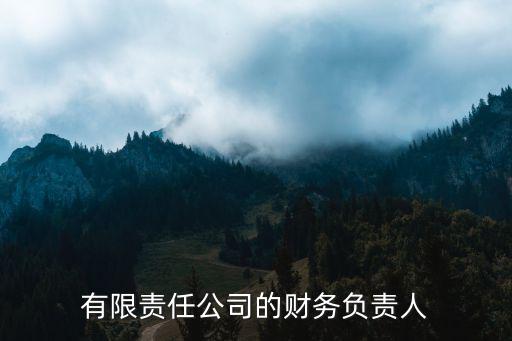 公司財務負責人，如果注冊一個公司財務負責人是自己要承擔什么責任