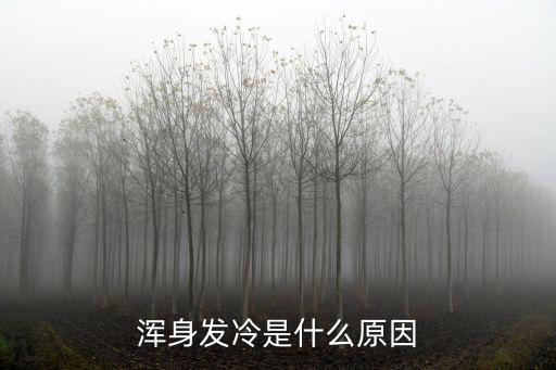 身上發(fā)冷，渾身發(fā)冷是什么原因