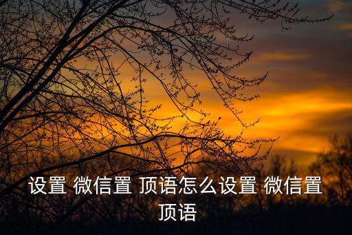 設置 微信置 頂語怎么設置 微信置 頂語