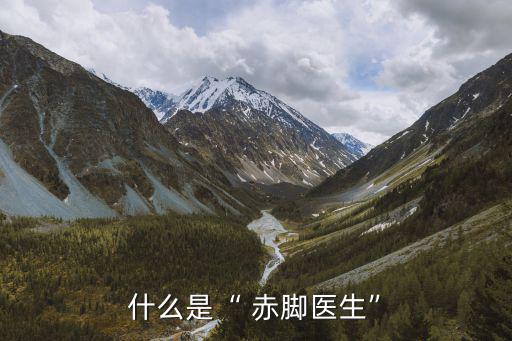 赤腳醫生,赤腳醫生的歷史也就此結束