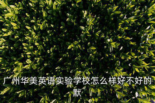 廣州華美英語(yǔ)實(shí)驗(yàn)學(xué)校怎么樣好不好的默
