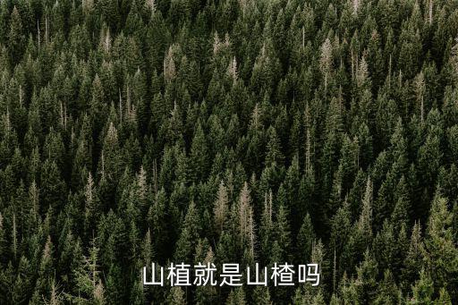  山植就是山楂嗎