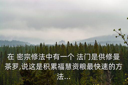 在 密宗修法中有一個(gè) 法門是供修曼茶羅,說(shuō)這是積累福慧資糧最快速的方法...