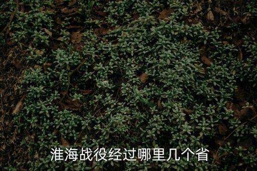 淮海戰(zhàn)役,國民黨稱之為徐浜戰(zhàn)役解放戰(zhàn)爭時期的戰(zhàn)役