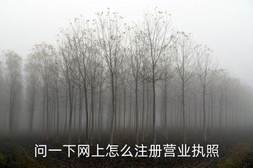 問一下網上怎么注冊營業執照