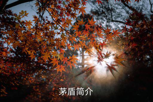 茅盾簡(jiǎn)介