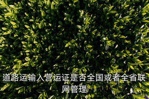 道路運輸入營運證是否全國或者全省聯網管理