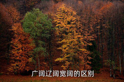  廣闊遼闊寬闊的區別