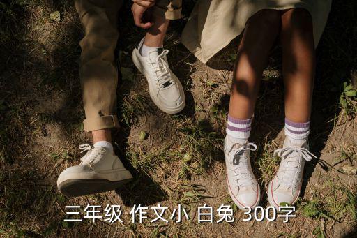  三年級 作文小 白兔 300字